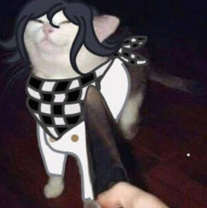 Meet your Posher, Faith